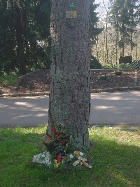 Friedhof_g15