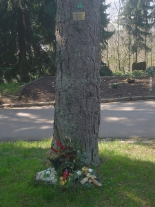 Friedhof_k15