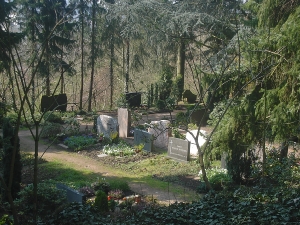Friedhof_k16