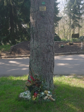 Friedhof_m15