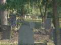 Friedhof_g08