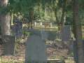 Friedhof_k08