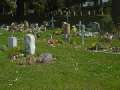 Friedhof_k13