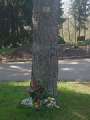 Friedhof_k15