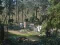 Friedhof_k16